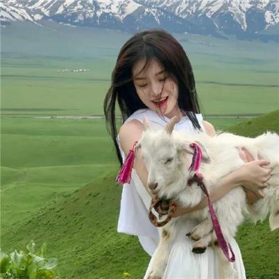 爱在缅因州 海报